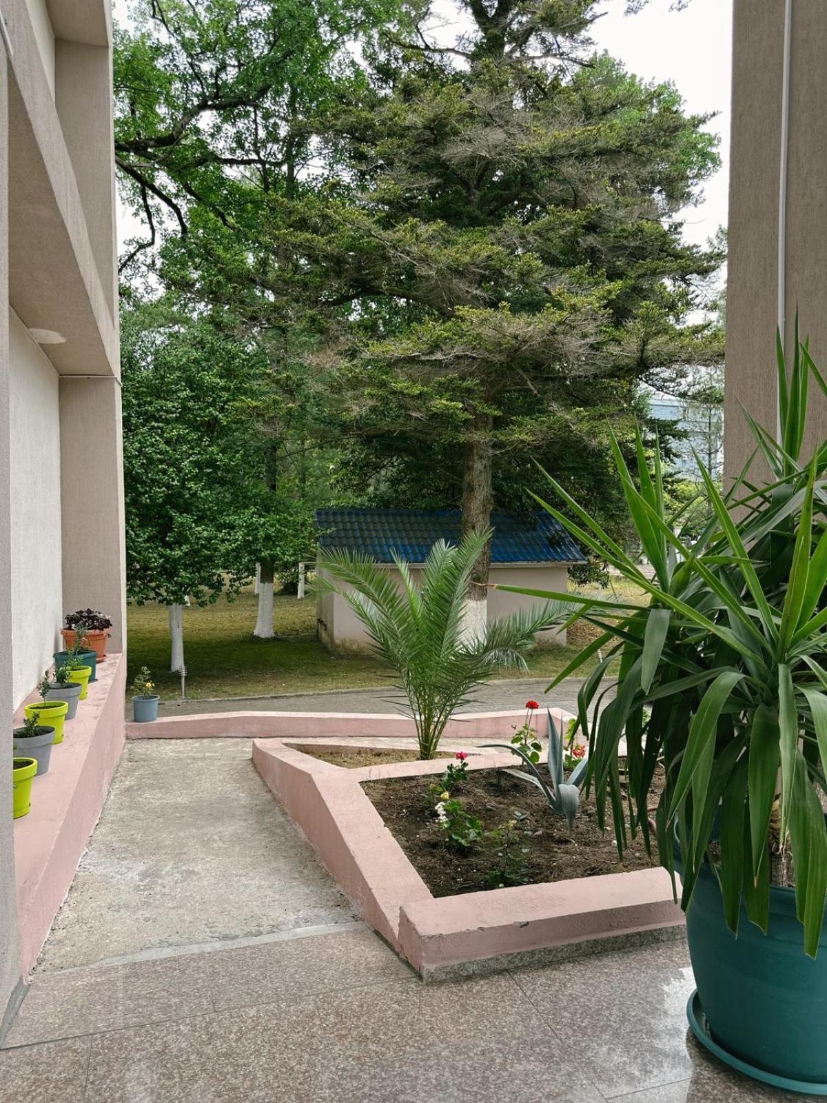Hotel Solidarity Kobuleti Exteriör bild