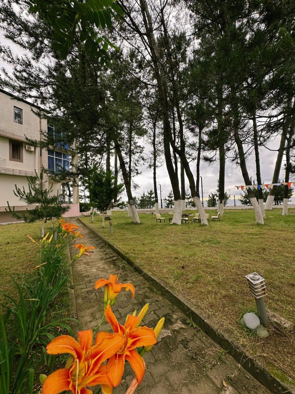 Hotel Solidarity Kobuleti Exteriör bild